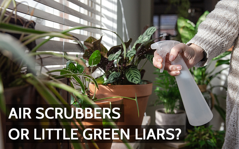 Houseplants and Indoor Air Quality: The Reality Behind the Green