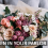 How Floral Arrangements Affect Air Quality