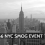 From Crisis to Change: How the 1966 NYC Smog Event Shaped Air Quality Policies