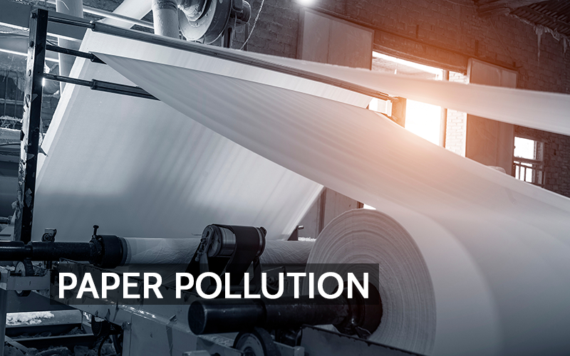 Emissions to Efficiency: Regulating Air Quality in Paper Production