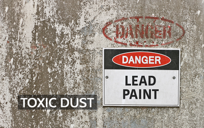 The Legacy of Lead: How Pollution Shaped Public Health Policy