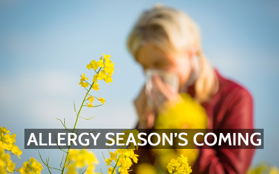 The Allergy Battle: Why Your Immune System Overreacts and How to Fight Back