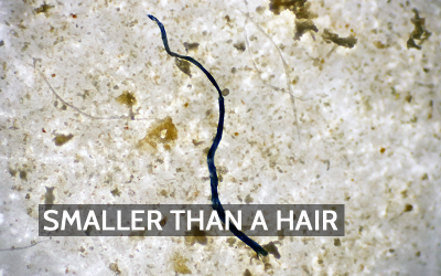 From Thread to Threat: How Synthetic Fabrics Contribute to Microplastic Pollution