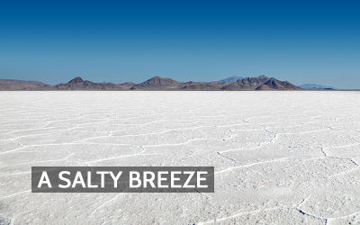 Salt Flats, Hypersaline Inland Seas, and Their Impact on Regional Air Quality