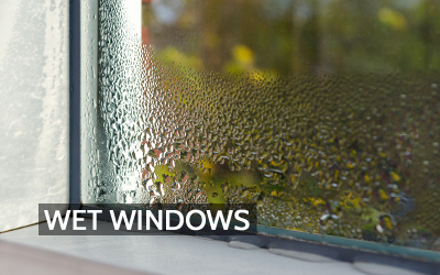 Why Your Windows Are Sweating—and What to Do About It