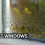 Why Your Windows Are Sweating—and What to Do About It