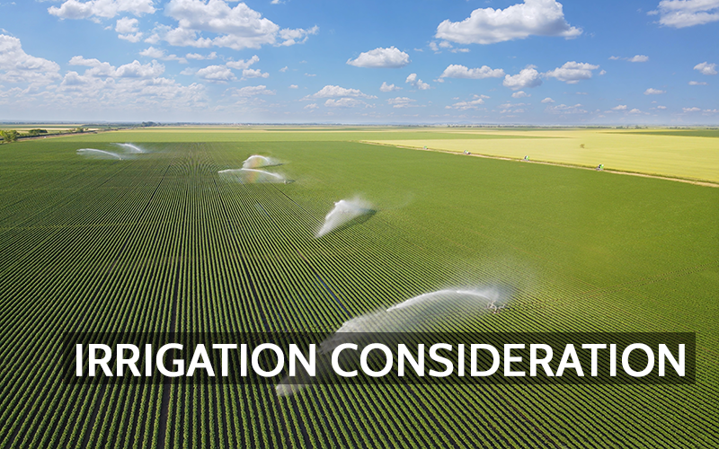 How Large-Scale Farm Irrigation Influences Air Quality