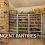 Pantries and Larders: How Proper Ventilation and Climate Control Prevent Food Spoilage and Protect Indoor Air
