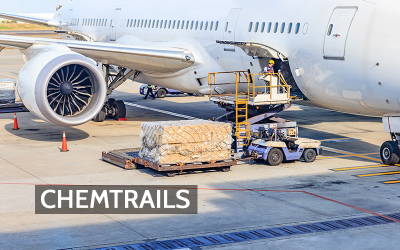 Clearing the Air Around Aviation: How Airlines Manage Their Emissions
