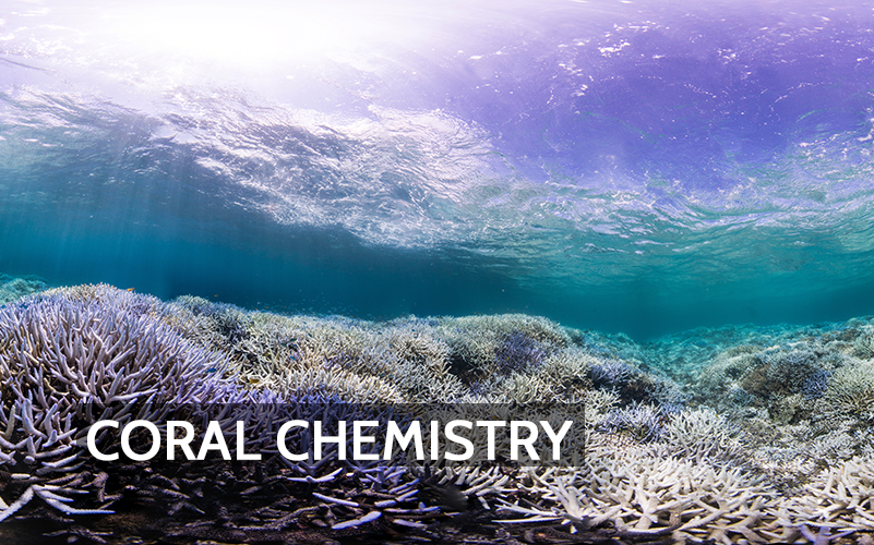 coral-chemistry