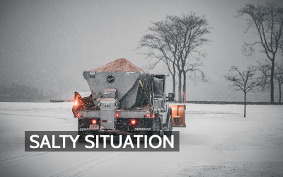Salt in the Winter Air: How Road Deicing Influences Local Air Quality