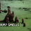 What Is Swamp Gas?