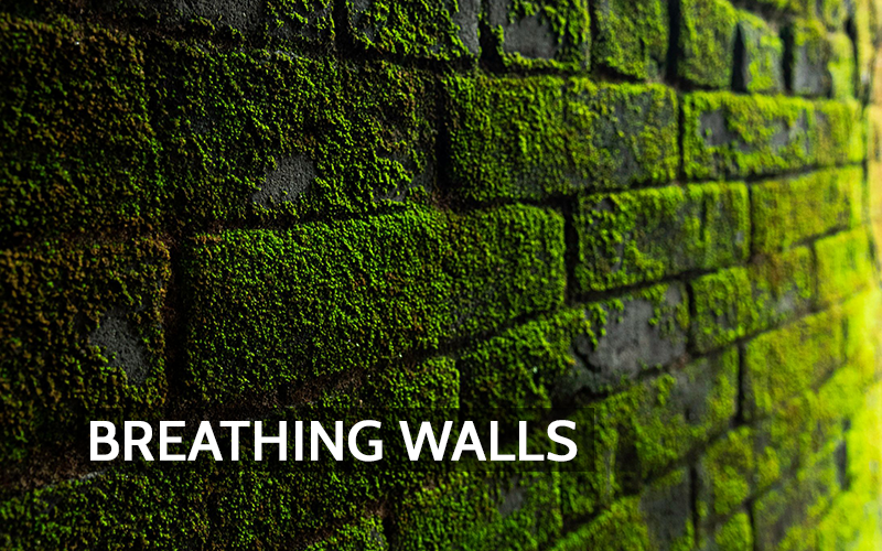 Can Concrete Grow Moss? How Respyre Is Turning City Walls Into Living Surfaces