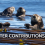 Otters, Urchins, and Carbon: How Sea Otter Recovery Can Help Restore Kelp Forests