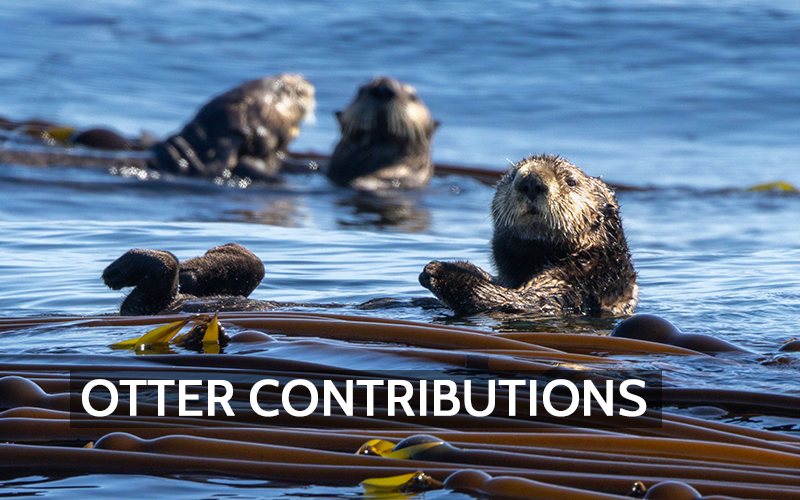 otter-contributions