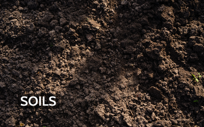 The Chemistry Beneath Our Feet: How Soil Bacteria Shape the Atmosphere