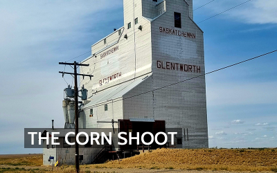 When Food Becomes Airborne: Understanding Dust in Grain Elevators and Silos