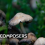 The Chemistry of Decay: How Fungal Decomposers Influence the Atmosphere