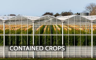 Greenhouses and Indoor Farms: When Plants Become Part of the HVAC System