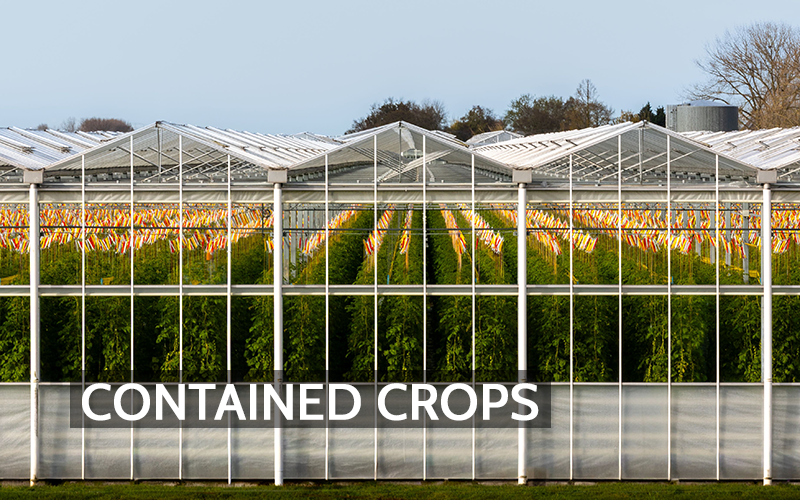 contained-crops