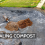 Industrial Composting: When Decomposition Moves From the Forest Floor to a Facility