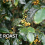 Coffee in the Air: When Roasting Becomes an Industrial Air-Quality Issue